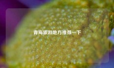 青海旅游地方推荐一下