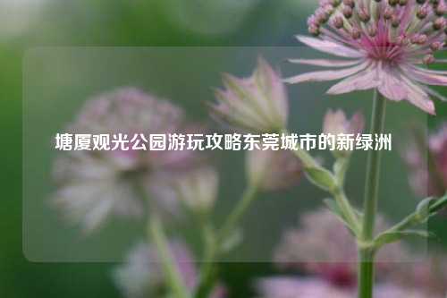 塘厦观光公园游玩攻略东莞城市的新绿洲