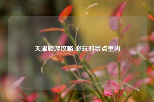 天津旅游攻略 必玩的景点室内