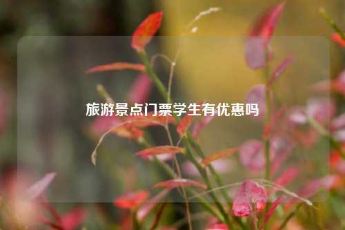 旅游景点门票学生有优惠吗