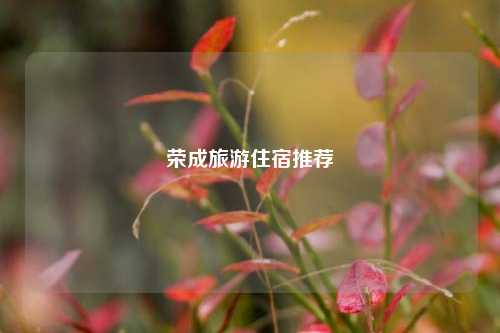 荣成旅游住宿推荐