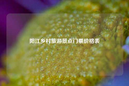 阳江乡村旅游景点门票价格表