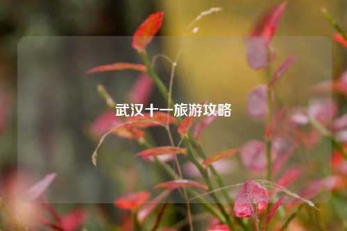 武汉十一旅游攻略