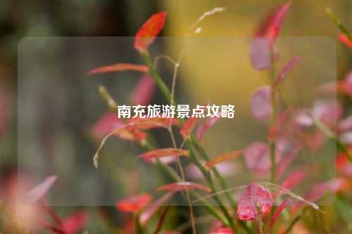 南充旅游景点攻略