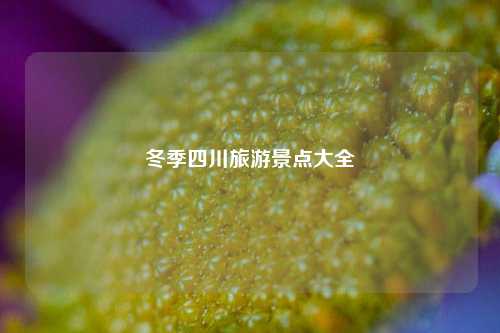 冬季四川旅游景点大全