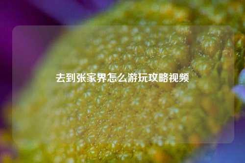 去到张家界怎么游玩攻略视频