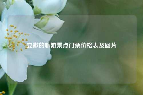 安徽的旅游景点门票价格表及图片
