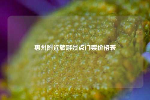 惠州附近旅游景点门票价格表