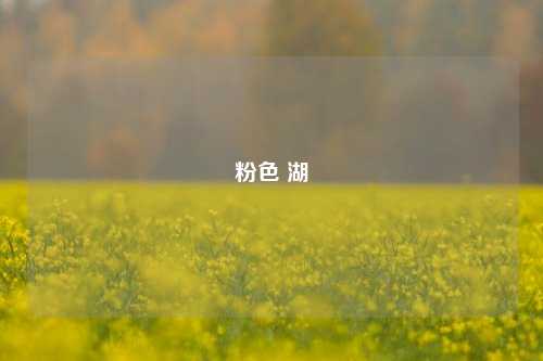 粉色 湖