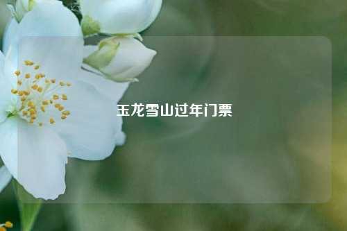 玉龙雪山过年门票