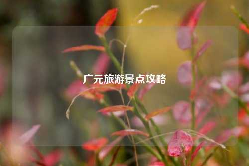 广元旅游景点攻略
