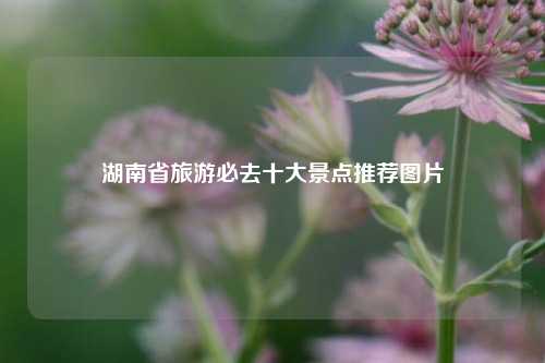 湖南省旅游必去十大景点推荐图片