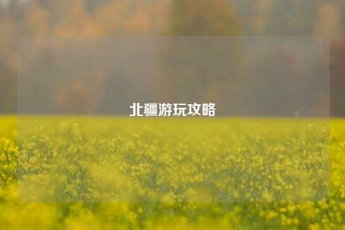 北疆游玩攻略