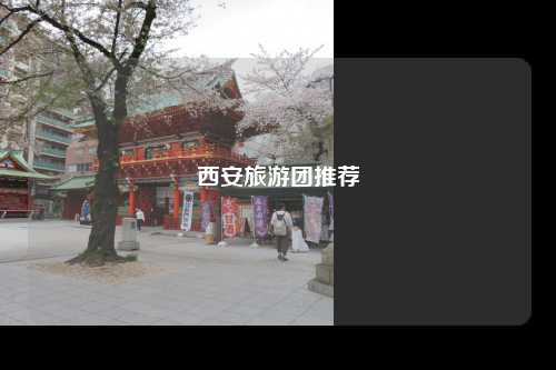 西安旅游团推荐