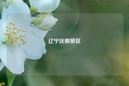 辽宁抚顺景区