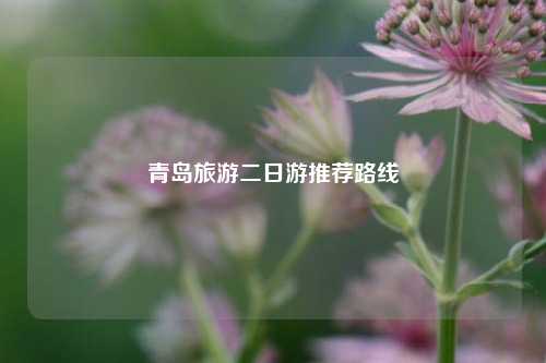 青岛旅游二日游推荐路线