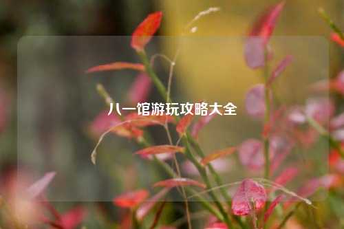 八一馆游玩攻略大全