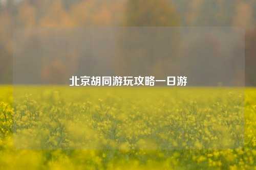 北京胡同游玩攻略一日游