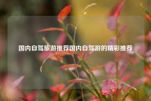 国内自驾旅游推荐国内自驾游的精彩推荐