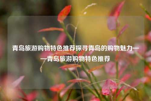 青岛旅游购物特色推荐探寻青岛的购物魅力——青岛旅游购物特色推荐