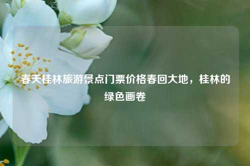 春天桂林旅游景点门票价格春回大地，桂林的绿色画卷