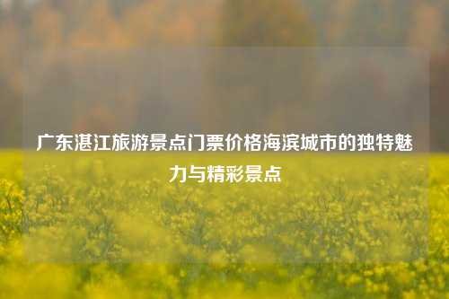 广东湛江旅游景点门票价格海滨城市的独特魅力与精彩景点