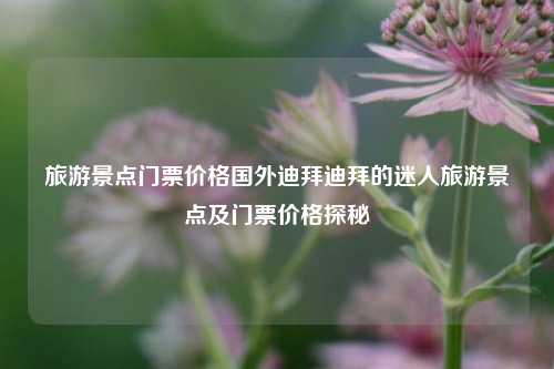 旅游景点门票价格国外迪拜迪拜的迷人旅游景点及门票价格探秘