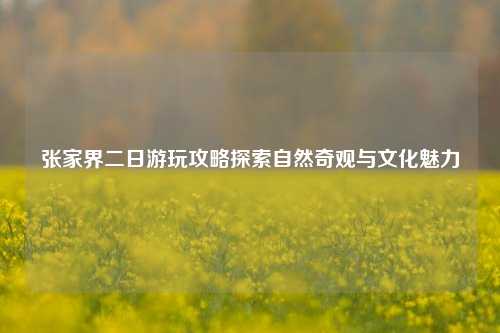 张家界二日游玩攻略探索自然奇观与文化魅力