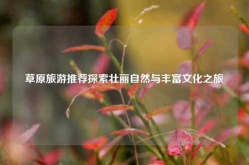 草原旅游推荐探索壮丽自然与丰富文化之旅