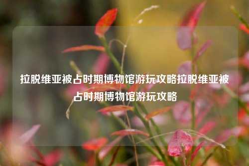 拉脱维亚被占时期博物馆游玩攻略拉脱维亚被占时期博物馆游玩攻略